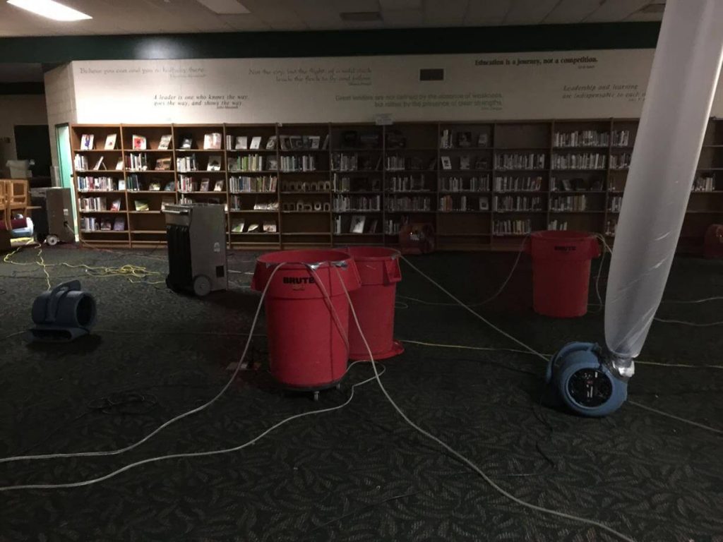 Public Library Water Removal